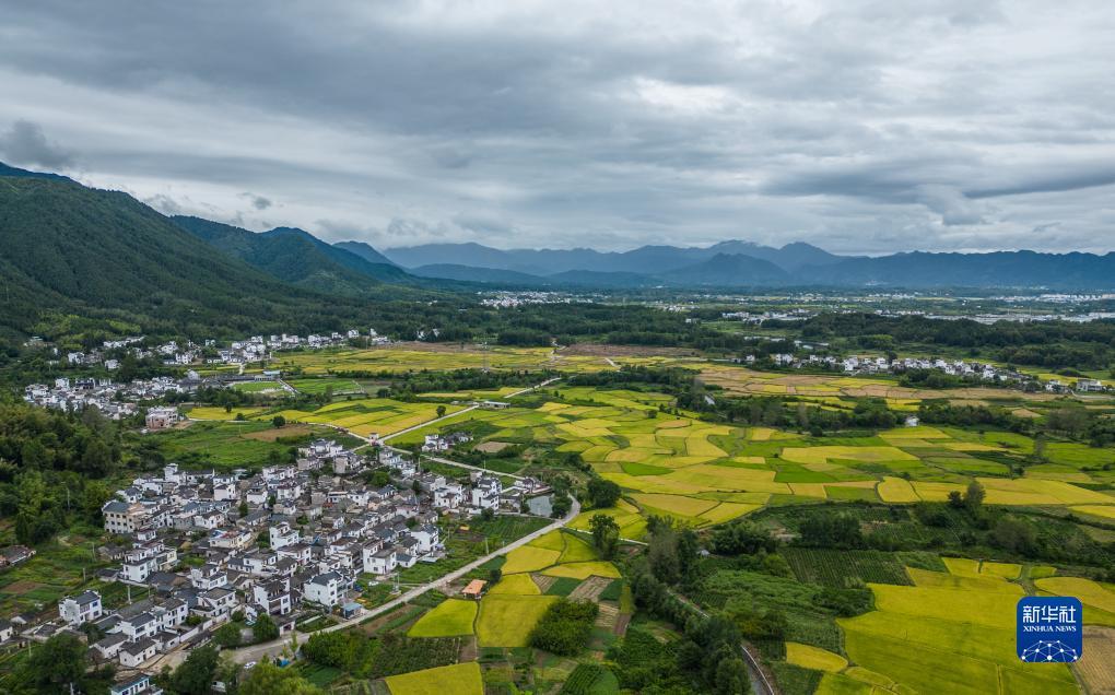大盘时时走势